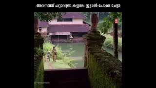 അവനവന് പറ്റാവുന്ന കളസം  ഇട്ടാൽ പോരെ ചേട്ടാ #shorts #malayalam #comedy#malayalam Scenes #jagathy