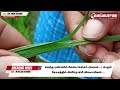 வெந்த புண்ணில் வேல்பாய்ச்சும் அவலம் .. lankafire news tamil news