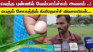 வெந்த புண்ணில் வேல்பாய்ச்சும் அவலம் ..!| #LankaFire News | Tamil News