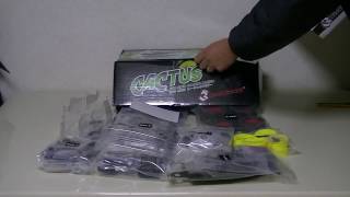 3Racing Cactus 1:10 2WD RC Racing EP Buggy Unboxing