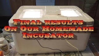 Final Results From The Homemade Incubator