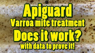 ❸ Apiguard mite treatment.  Did it work?  Is it effective?  Here's proof...