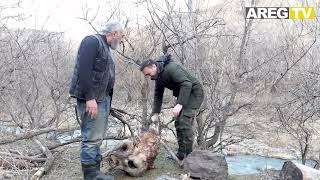 How to break a branch with your foot, guide by Poncho (Vahagn Simonyan).