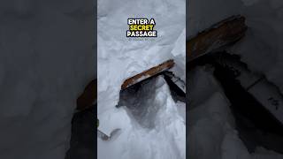 This is how they enter their cabin ❄️🥶 #shorts #cabin #winter