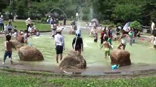 【馬見丘陵公園：北エリア】徒渉池（としょうち）　噴水シャワー⁉で遊ぶあい❤お出かけ　水遊び　無料　外遊び