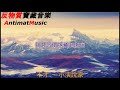 不才 小演說家【動態歌詞lyrics】【我擁有麥克風 卻沒有 愛你的才華】【寶藏音樂 好聽歌曲 2019歌曲 华语歌曲2019 中文歌曲】【愛過】