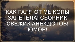 Как Галя и Мыкола оказались в неожиданной ситуации! Подборка анекдотов и юмора!  || Моменты Жизни