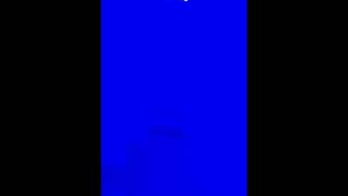 Blomberg BRFD2230SS refrigerator with blue light inside