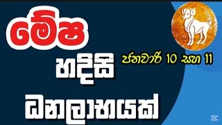 මේෂ ලග්න හිමියන්ට හදිසි ධනලාභයක් (2025 ජනවාරි 10 සහ 11 )