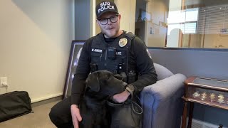 K-9 officer 'Thunder' joins Southern Utah University's police force