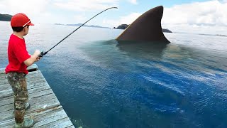 my son caught the megalodon..