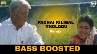 | Pachai Kiligal Tholodu Song | Bass Boosted Audio | A.R.Rahman | Indian Movie | 6.3 MV BEATZ |