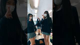 【TikTok】JKの昼休み #jk #shorts #short