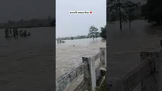 অসমৰ বানপানী 💔#banpani #assamfloodnews