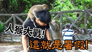 【精鵡瘋雲】【雲遊四海】壽山動物園的獼猴究竟有多囂張？竟然現場上演“愛情動作片”