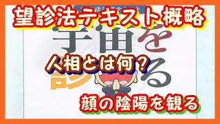 望診法テキスト概略・顔の陰陽を観る