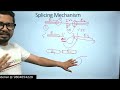 RNA splicing and processing  RNA splicing mechanism  spliceosome