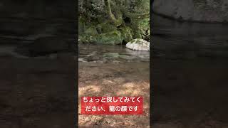 龍の顔が見えます！龍神の滝　ラストまで見てください