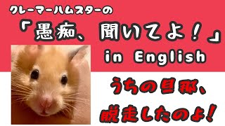 3分英語リスニング「愚痴、聞いてよ！」byハムスター嫁