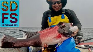 BIG SHEEPHEAD | Catch Clean Cook Panko Fried Fish | Bahia Asuncion Baja California Mexico SDFS