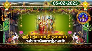 Sri Padmavathi Ammavari || Kalyanotsavam || Tiruchanoor || SVBC2 Tamil || 05-02-2025 || SVBC TTD