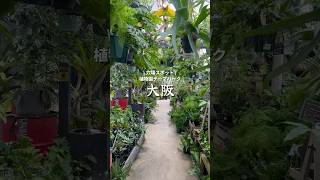 大阪の穴場スポット！！子供も楽しめる植物園テーマパーク！