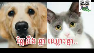 New video  funny ​ឆ្កែ​​ និង ឆ្មា ឈ្លោះគ្នា...​ By The Troll Cambodia