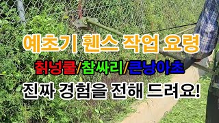 예초기 사용방법 휀스에 걸린 칡넝쿨, 칡덩굴, 참싸리, 큰낭아초, 제거하는 방법