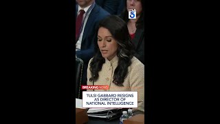 Tulsi Gabbard resigns as director of national intelligence