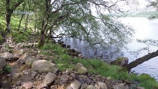 Ennerdale Water, a Lake Walk in Cumbria