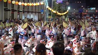 🕺天水連さんが輪踊りをしていました❗💃🏼2022 阿波おどり✨Awa Odori (Awa Dance)⭐最終日🔷2022年(令和4年)8月15日(日)