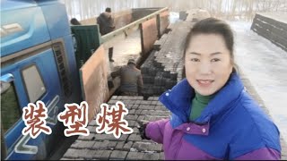 今天給外地朋友裝4000卡的型煤，現在賣多錢一噸！| 春望田園