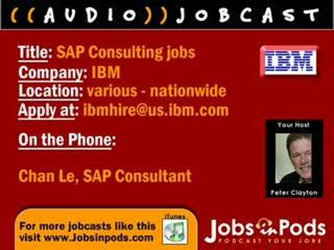 What does an SAP Consultant do?