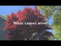 What Causes Wind?