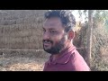 2 મહિના ની તમાકુ 🔥🙂🙂 2 mahina ni tamaku subscribe farminglife ashwin