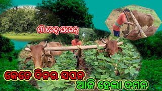 ଏତେ ଦିନର ସପନ ଆଜି ହେଳା ଦମନ