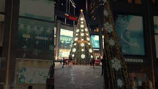 Da Nang Christmas tree #walking #travel #christmas