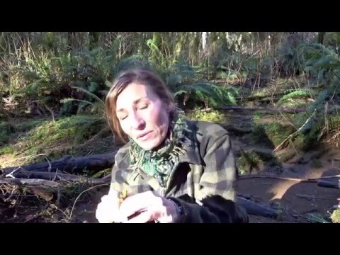 Bush Tea with Nicole Apelian of #aloneshow Bush Tea with Nicole Apelian of #aloneshow