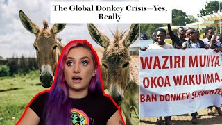 The Global Donkey Crisis