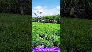 Drone Down! Farmer Mistakes Sprayer for Flying Monster!