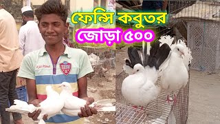 অসাধারণ ফেন্সি কবুতরের জোড়া ৫০০ টাকা?