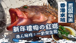 【漁人推介】香港水域，新年船釣第一擊，Jigging｜鐵板假餌 都會中紅斑？如何幫魚放氣？ 簡單清蒸紅斑已經超好味｜海鮮｜食譜｜Catch and Cook  Seafood Fish Recipe