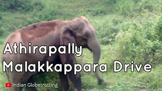 Athirapally to Malakkapara via Sholayar Reserve Forest | Elephants at Vazhachal Forest