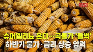 (지표 디벼보기)슈퍼엘니뇨라는데…곡물가격 다시 들썩인다 [말하는 기자들_경제 \u0026 금융_0621]