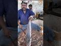 KASIMEDU 🔥 SPEED SELVAM FISH CUTTING VIDEO #kasimeduselvam #speedselvamcutting #shorts #shortfeed