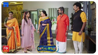 Rangula Ratnam Latest Promo - 28th December 2024 in ETV Telugu at 7:30 PM - Mallemalatv