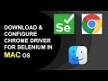 Download & CONFIGURE CHROME DRIVER FOR SELENIUM ON MAC OS || OPEN WEBPAGE USING AUTOMATION