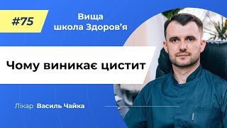 #75 Чому виникає цистит. Спитайте у лікаря Чайки, Вища школа Здоров'я