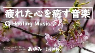 🌸 河津桜の続編 🌸 心を癒す音楽 【 あゆみ 】#リラックスミュージック #リラックス #soothingrelaxation