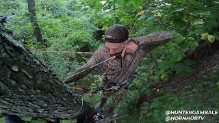 DROPTINE BUCK AT 18 YARDS! ( Opening day bow hunt )